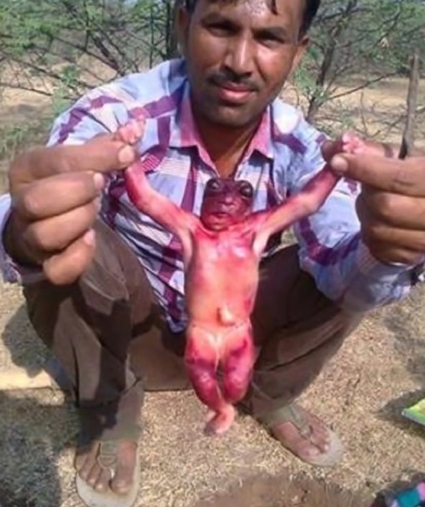 Criatura bizarra teria sido encontrada em Jodhpur, no estado indiano de Rajastão (Foto: Reprodução/Facebook)