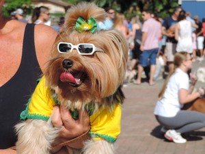 Muitos donos investiram no visual diferenciado de seus cães (Foto: Jaime Batista/Blog do Jaime)