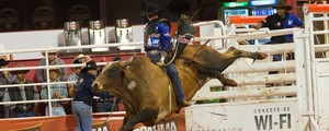 FOTOS: peões e touros 
'duelam' em rodeio em Barretos (Érico Andrade/G1)