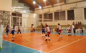 Estadual Vôlei feminino no ginásio escolar do Sesi (Foto: Divulgação/Feav)