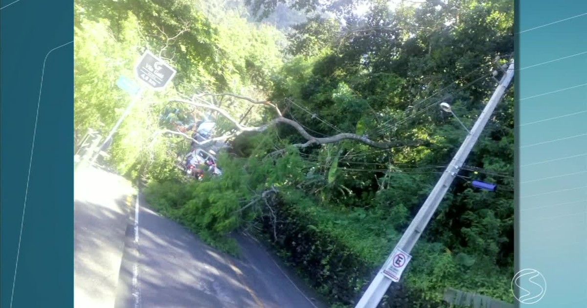 G1 - Árvore cai e interdita estrada em Angra dos Reis, RJ - notícias ... - Globo.com