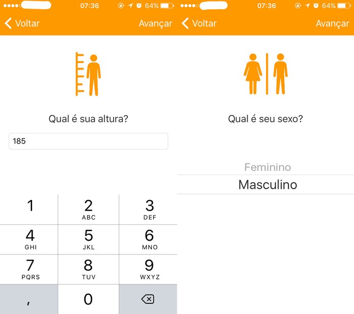 Defina suas metas e dados no TecnoNutri (Foto: Reprodução/Felipe Vinha)