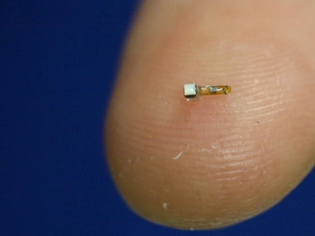 Microssensor sem fio deve tornar possível monitorar atividade neural em tempo real quando implantado dentro do corpo   (Foto: UC Berkeley/Handout via Reuters)