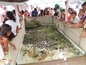 Animais estavam sendo mantidos em um criatório com água e comida. (Fot Udirley Andrade/Ascom Prefeitura de Juruti)