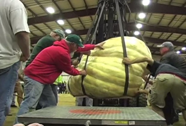 Ron Wallace bateu o recorde mundial ao cultivar abóbora de 911 quilos. (Foto: Reprodução)