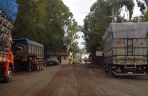 PF faz operação contra extração ilegal de madeira em Goiás e mais seis estados (Foto: Divulgação/PF)