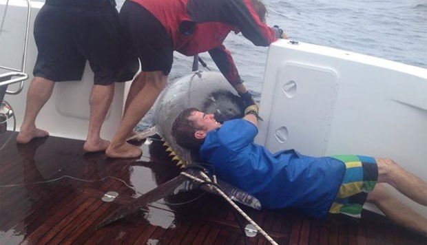 Tripulação ajudou a puxar o peixe (Foto: Reprodução/Facebook/Donna Pascoe)