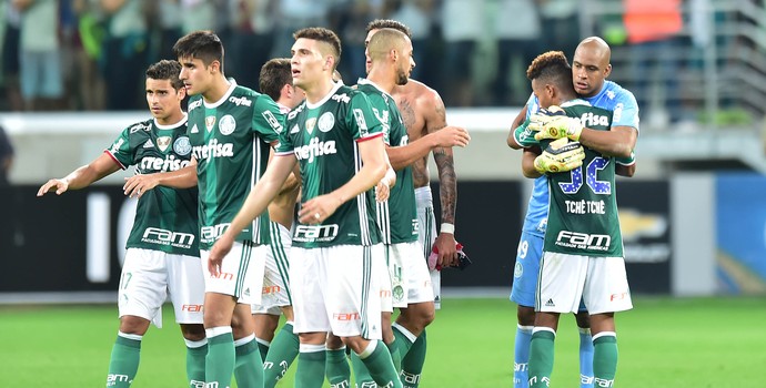 Palmeiras x Vitória (Foto: Marcos Ribolli)