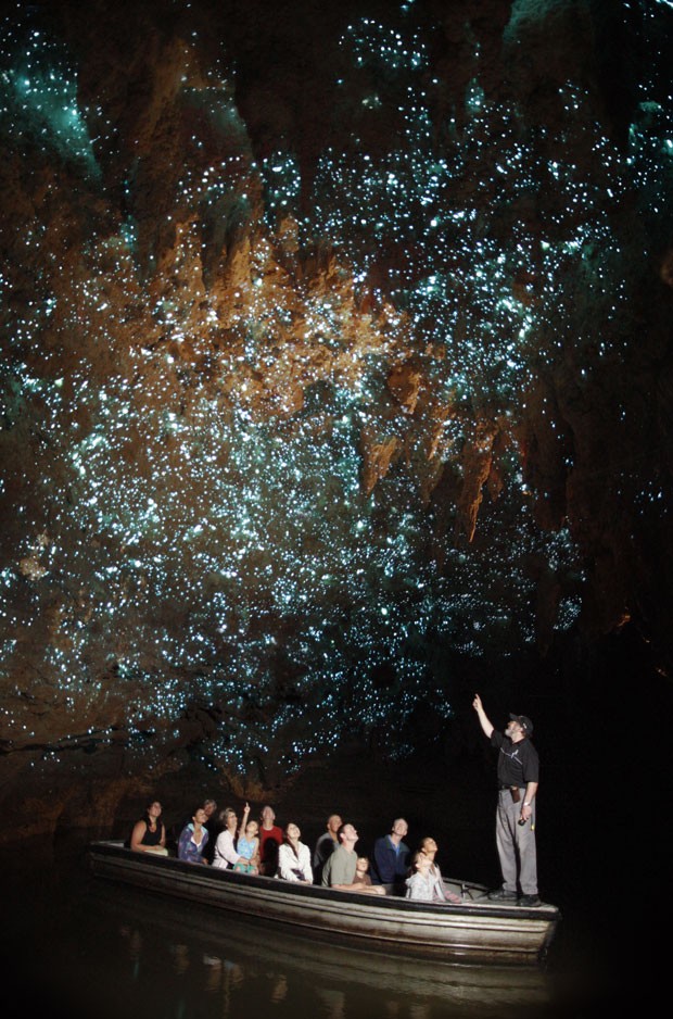 Larvas brilhanes dão a sensação de céu estrelado à Caverna de Waitomo (Foto: Waitomo Glowworm Caves/Divulgação)