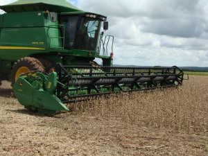 Mato Grosso do Sul deve 6,061 milhões de toneladas de soja na safra 2012/2013 (Foto: Anderson Viegas/G1 MS)