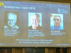 Sueco, turco e americano vão dividir o Prêmio Nobel de Química