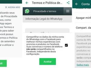Novos termos de serviço serão apresentados pelo Whatsapp (Foto: Divulgação/Whatsapp)