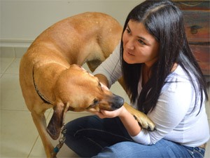 A veterinária Bianca Shimizu, 35 anos, resgatou a cadela que defendia sofá em estrada de Ribeirão Preto (Foto: Adriano Oliveira/G1)