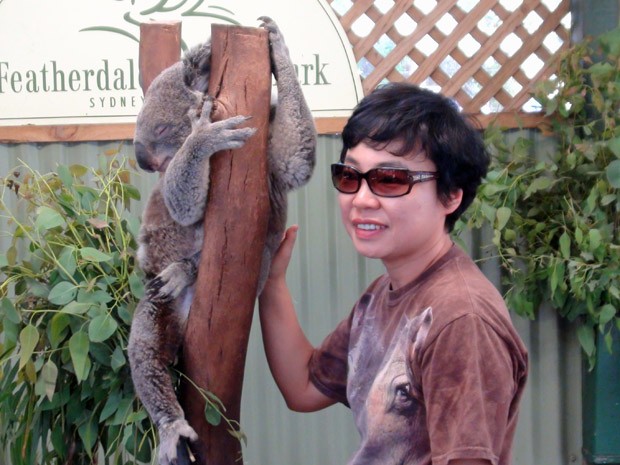 Turista tira foto com coala no Featherdale Park, perto de Sydney; nessa região não é possível abraçar o bicho, mas dá para tocá-lo levemente para a imagem (Foto: Flávia Mantovani/G1)