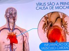 Especialistas explicam a relação do vírus da gripe com o coração