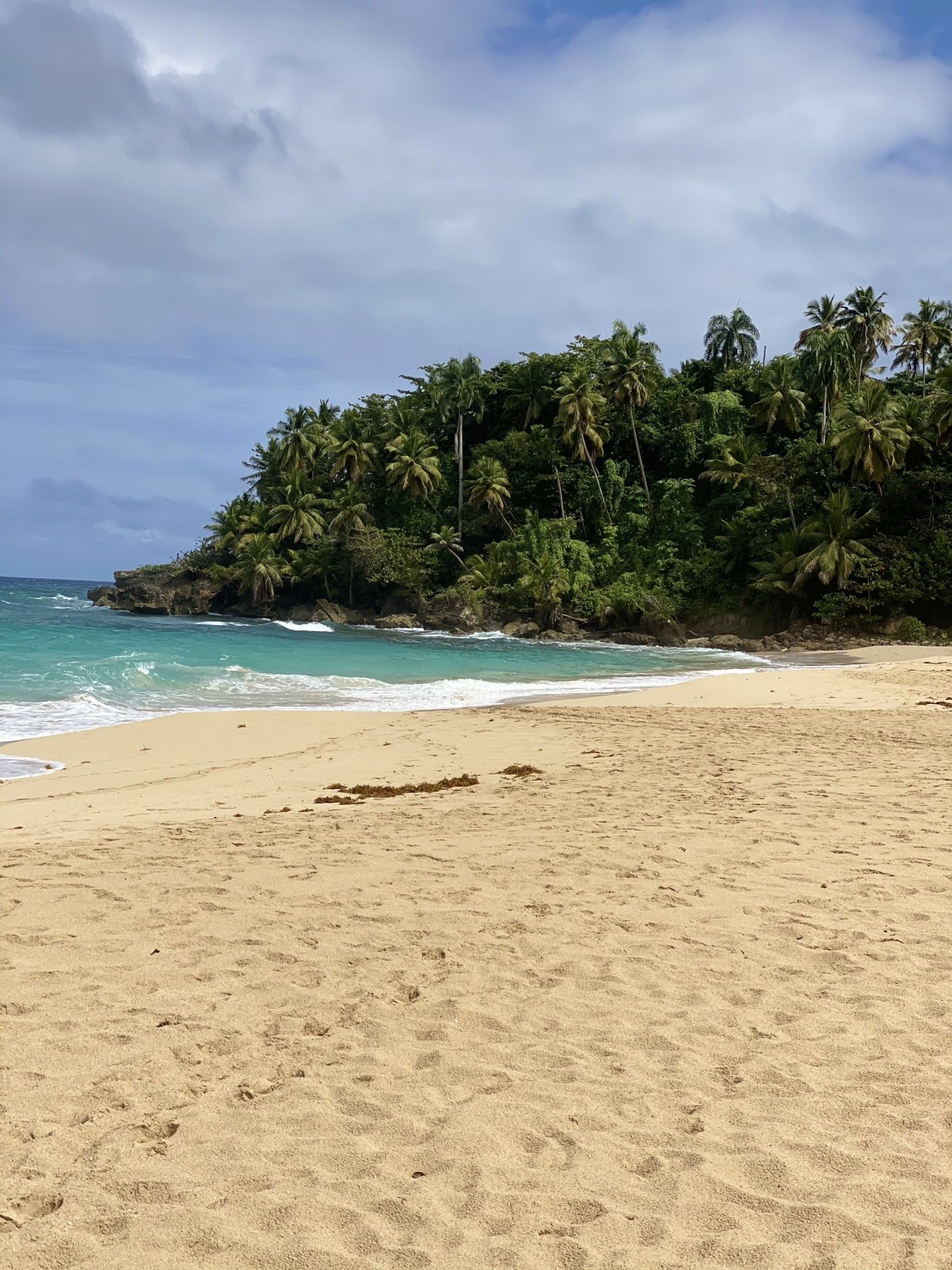  Praia com Y: a Playa Grande é quase deserta e extremamente preservada. Mar caribenho e areias macias (Foto: Divulgação)