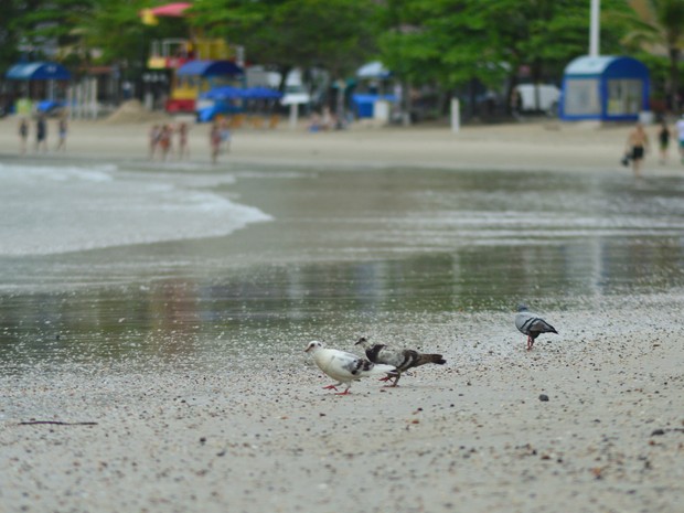 Areia começou a ter a qualidade da água analisada no Litoral Norte (Foto: Luiz Souza/RBS TV)