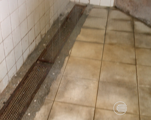 Atletas reclamam do Estádio Albertão (Foto: TV Clube)