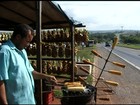 Comerciantes devem deixar margens da BR-060 em dois meses, em Goiás