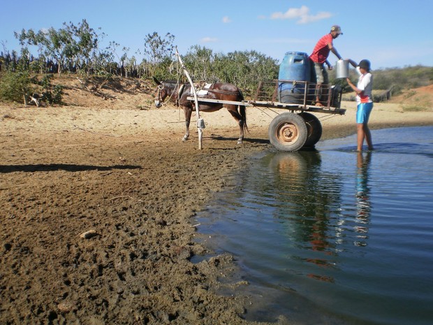 Seca no Piauí agrava situação de dificuldade pela falta de água (Foto: Gustavo Almeida/G1)