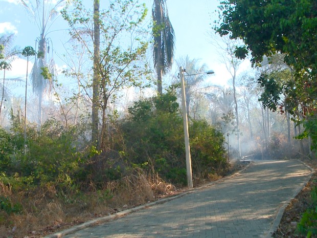 Grande quantidade de fumaça tem afastado os frequentadores (Foto: Ellyo Teixeira/G1)