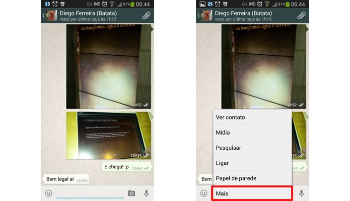 Para deletar toda a galeria e as mensagens da conversa, aperte na tecla função e selecione a opção em destaque (Foto: Reprodução/Daniel Ribeiro)