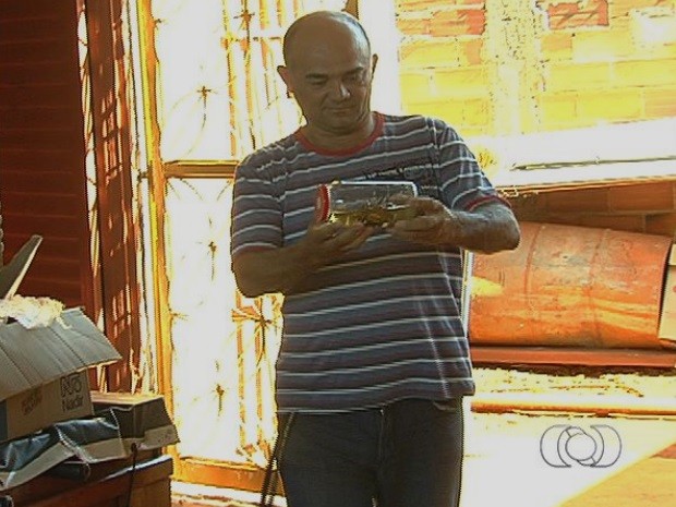 Homem guarda mais de 50 escorpiões que encontrou em casa, em Goiânia, Goiás (Foto: Reprodução/TV Anhanguera)