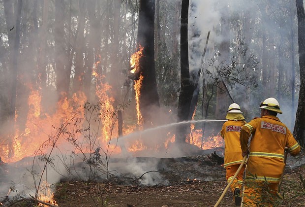 Bombeiros tentam conter foco de incêndio em localidade a oeste de Sydney nesta terça-feira (22) (Foto: Rob Griffith/AP)