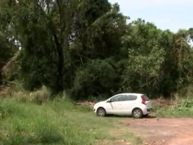 Técnicos estiveram na mata onde macaco com febre amarela foi encontrado (Foto: Reprodução/TV TEM) Técnicos estiveram na mata onde macaco com febre amarela foi encontrado (Foto: Reprodução/TV TEM)