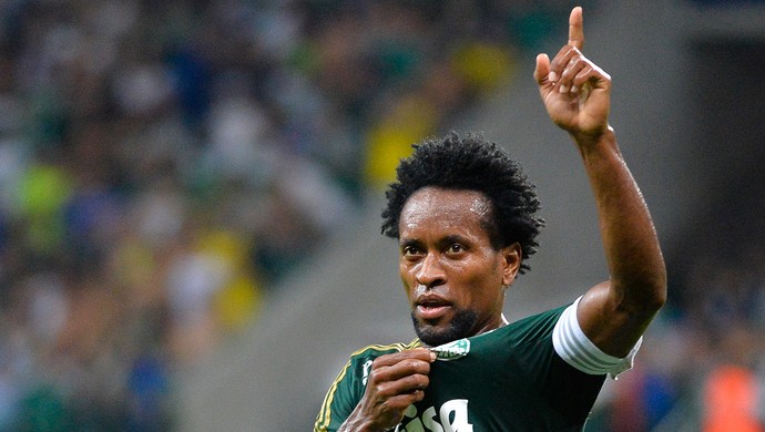 'Novo Animal', Zé Roberto celebra torcida e projeta Verdão vencedor