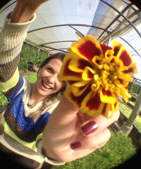 Vida e Saúde mostra o sabor das flores (Foto: Reprodução RBS TV/Divulgação)