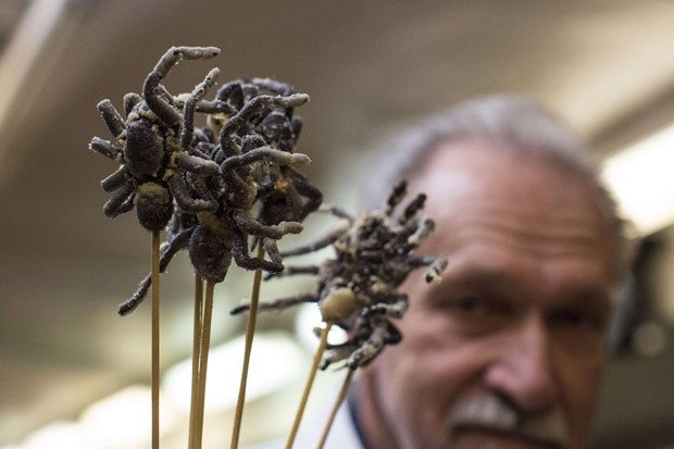 Chef exibe espetinhos de tarântula frita (Foto: Andrew Kelly/Reuters)