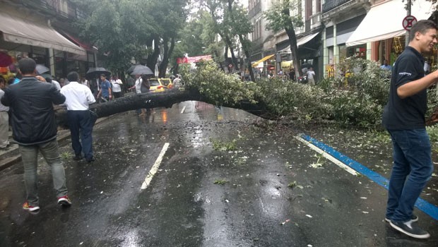Árvore caiu na Rua da Carioca por volta das 15h (Foto: Lilian Quaino / G1)