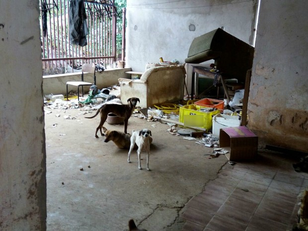Animais ficavam em cômodos com péssimas condições higiênicas (Foto: ONG DPAM/Divulgação)