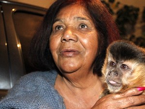 Macaca-prego 'Chico' ficou separada da família durante 16 dias (Foto: Fabio Rodrigues/G1) Macaca-prego 'Chico' ficou separada da família durante 16 dias (Foto: Fabio Rodrigues/G1)