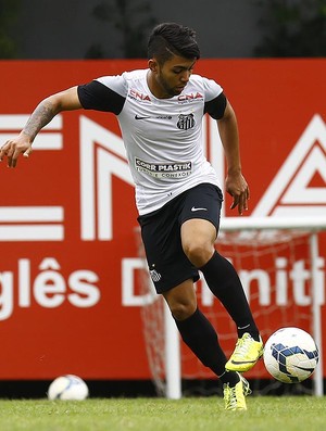 Gabriel Santos (Foto: Ricardo Saibun / Divulgação Santos FC)