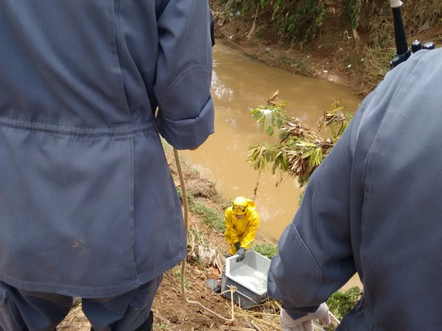 Corpo foi retirado após um perito ir ao local (Foto: Divulgação/ Corpo de Bombeiros)