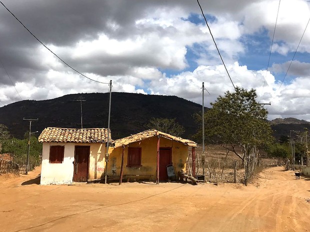 Zona rural de Feira de Santana, na Bahia, sofre com estiagem prolongada (Foto: Alan Tiago Alves/G1)
