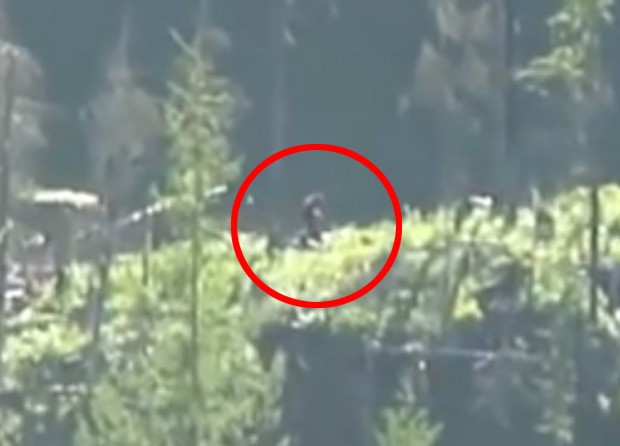 Casal no Canadá afirma ter avistado 'pé-grande' durante caminhada na região de Mission, em British Columbia (Foto: YouTube/Reprodução/LegendTracker)