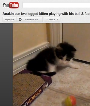 Anakin brinca com a sua bola (Foto: Reprodução)