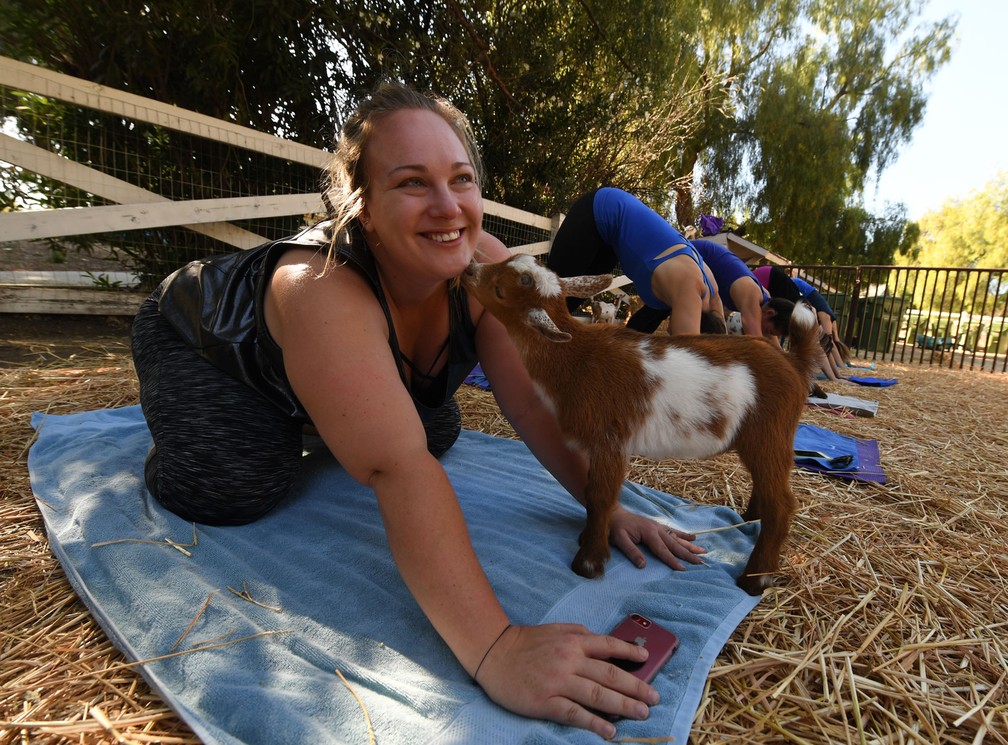 Praticante de ioga interage com bebê-cabra durante aula (Foto: Mark Ralston/AFP)