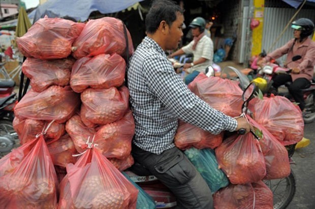Em 16 de março de 2011, um homem foi flagrado andando com uma moto superlotado de sacos com abacaxis em um mercado em Phnom Penh, no Camboja (Foto: Tang Chhin Sothy/AFP)