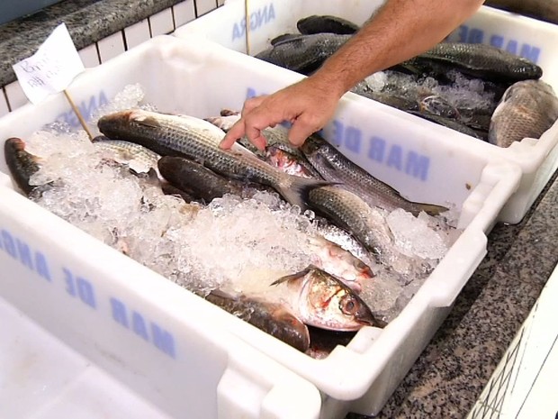 Nutricionista dá dicas de como escolher peixe durante quaresma (Foto: Reprodução/TV Rio Sul)