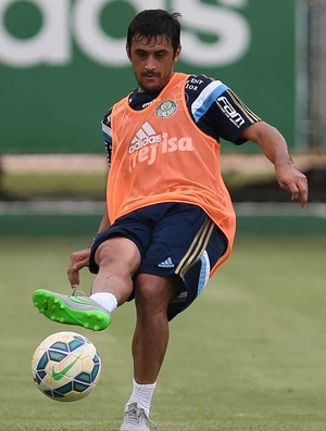 Robinho Palmeiras (Foto: Cesar Greco / Ag. Palmeiras)