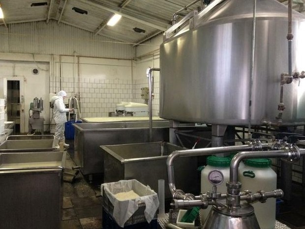 MP esteve em empresa de fabricação de queijo (Foto: Marjuliê Martini/Ministério Público)