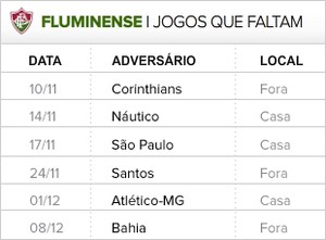 Fluminense Jogos que Faltam Brasileiro 2013 (Foto: Editoria de Arte)