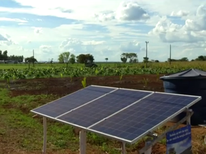Energia solar é sinônimo de lucro na zona rural (Foto: Reprodução/Rede Globo)