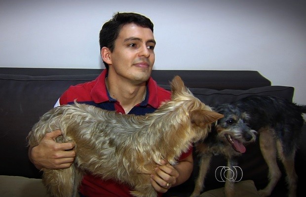 Voluntária de feira de adoção abriga 20 cães que esperam novos donos em Goiânia, Goiás (Foto: Reprodução/TV Anhanguera)