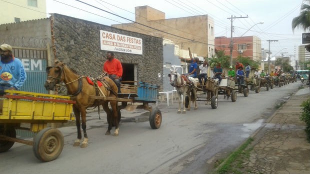 Carroceiros (Foto: Taislaine Antunes)