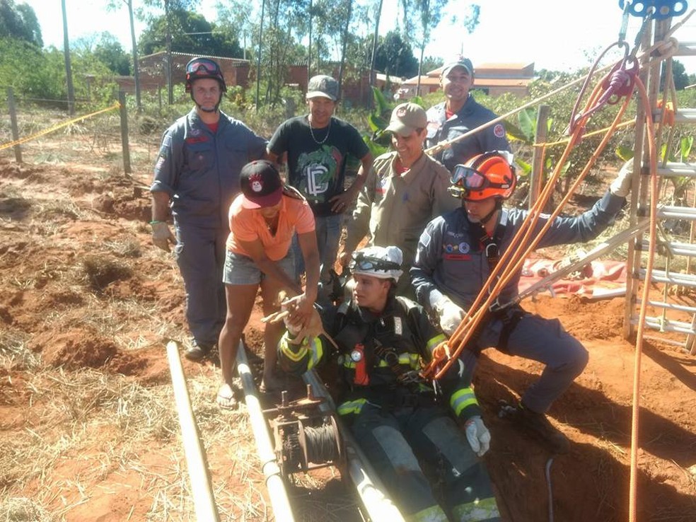Filhote foi entregue sem ferimentos à dona  (Foto: Corpo de Bombeiros/Cedida)